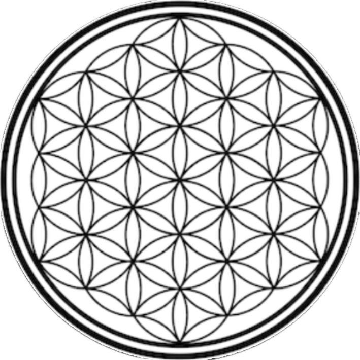 Flower Of Life - Guest House ルクソール エクステリア 写真